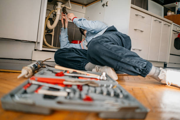 Best Septic Systems  in Towamensing Trails, PA